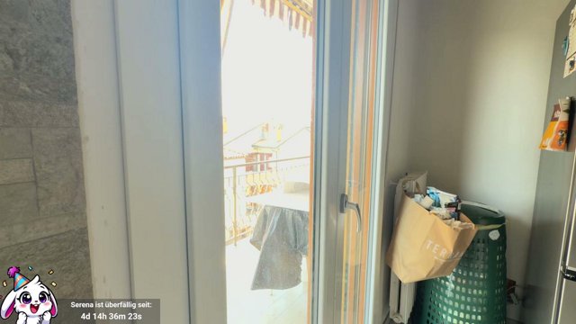 hasi live stream