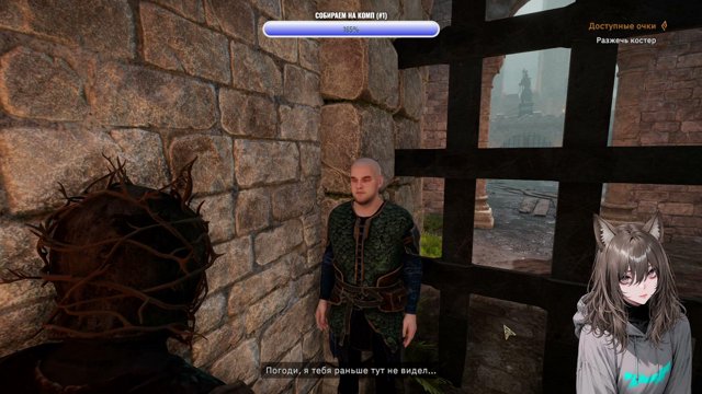 HIMA11R live stream