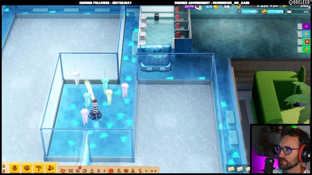 IciWang live stream