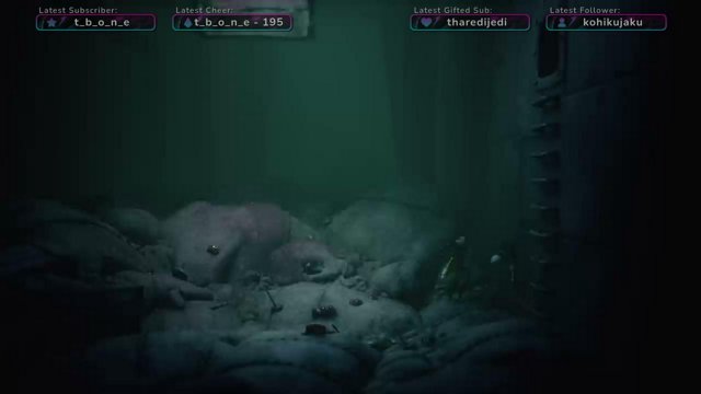 iGoregeous live stream