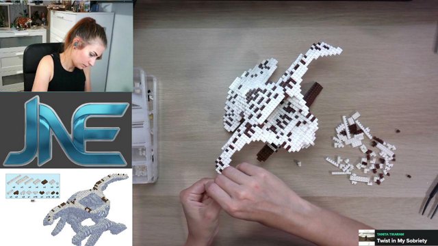 JaNeinEvtl live stream