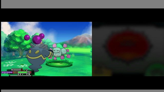 jpokequest live stream