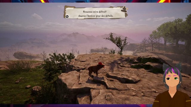KelenBoar live stream