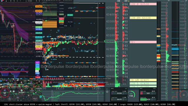 lborderpulse live stream