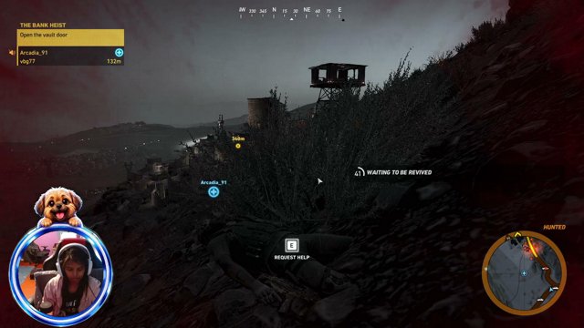 lilla_kakan live stream