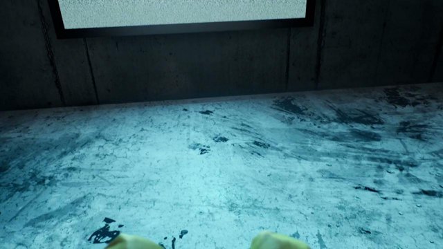 lllc00ley3004lll live stream