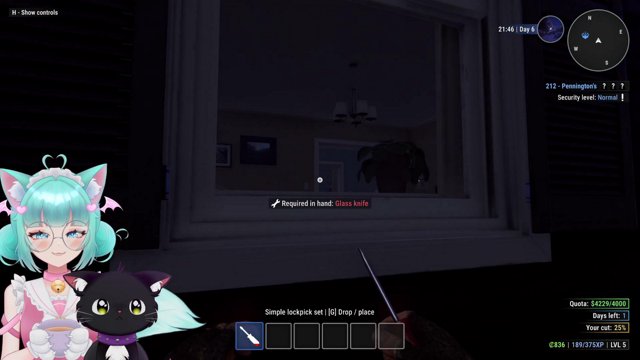 MiyaMisa live stream