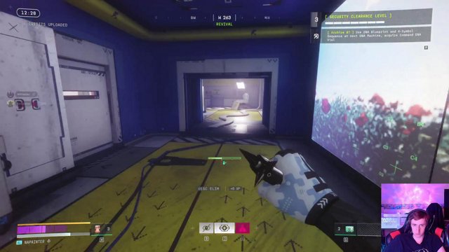 napainter_ live stream
