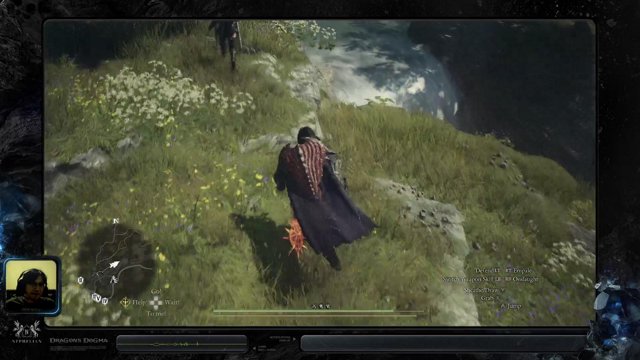 Nephelian live stream