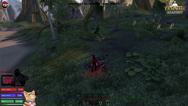 ninjapullsgaming live stream
