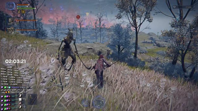 نيسو live stream
