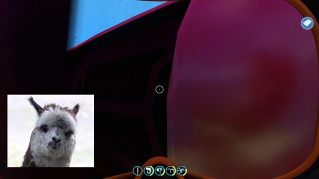 ObizObiz live stream