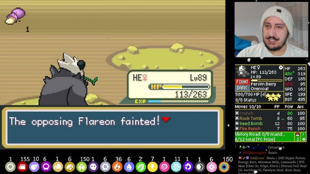 OddCrow live stream