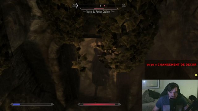 Peetosaurus live stream