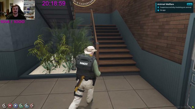 Pepe_The_Rarest live stream