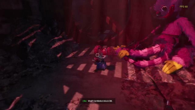 pipspuppy live stream