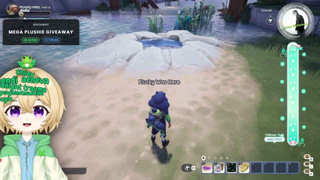 Plucky live stream