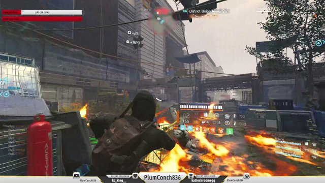 PlumConch836 live stream