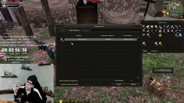 ponyashgang live stream