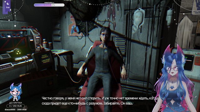 qmiho live stream