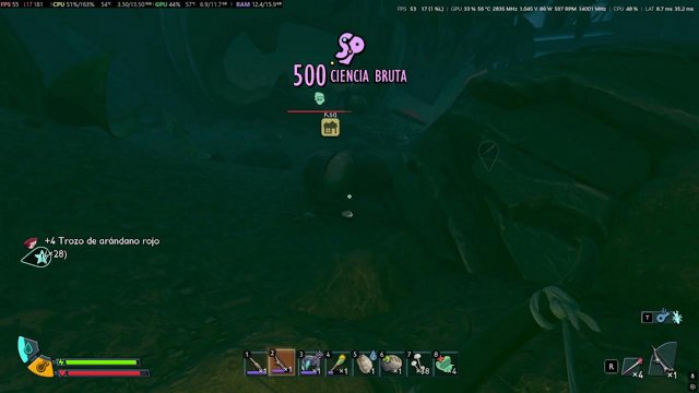 redy_wolf live stream