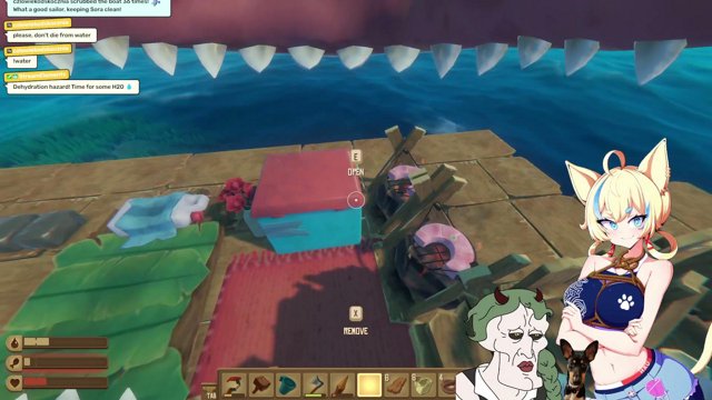 SailboatSora live stream