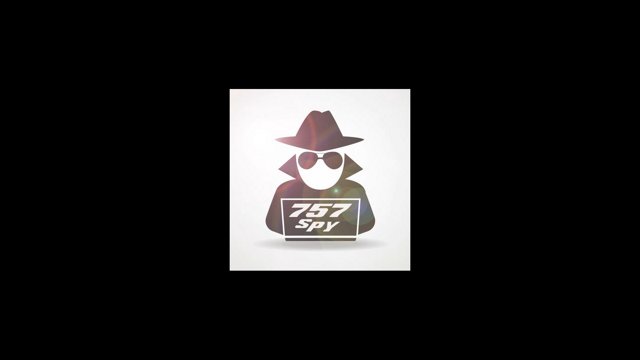 spyflight live stream