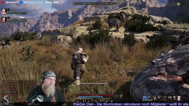 Steinar31 live stream