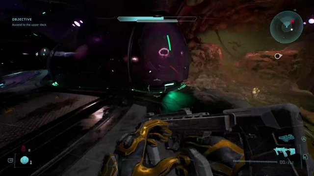susyungryce live stream