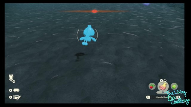 thedingo1411 live stream