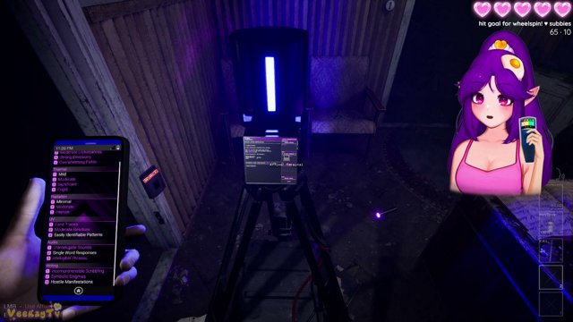 VeekayTv live stream