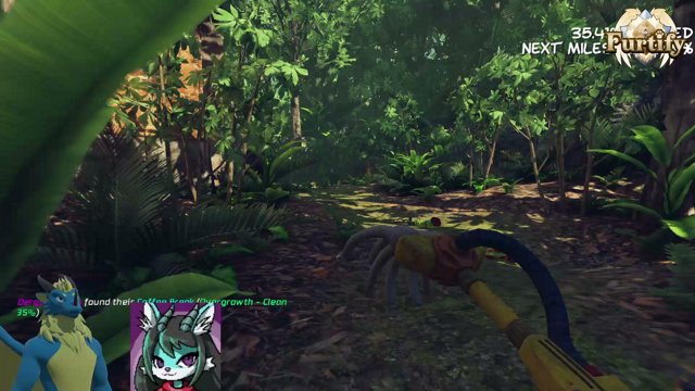 WazaAenor live stream
