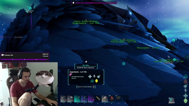 Weeaper live stream