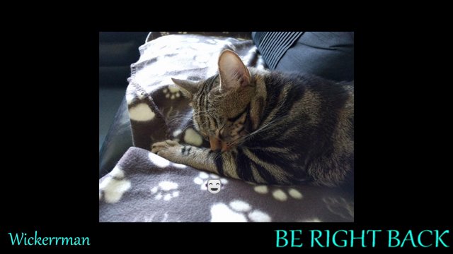 Wickerrman live stream