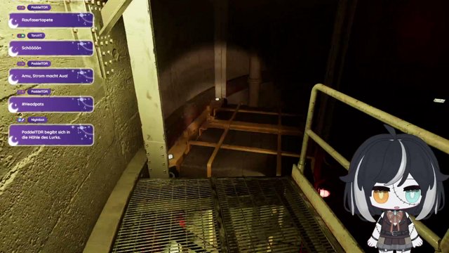 Wolffinchen live stream