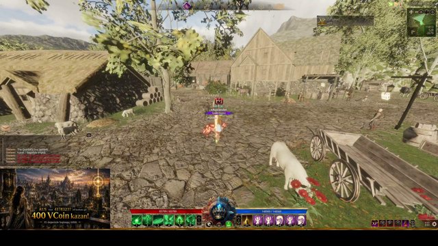 xAuslander_ live stream