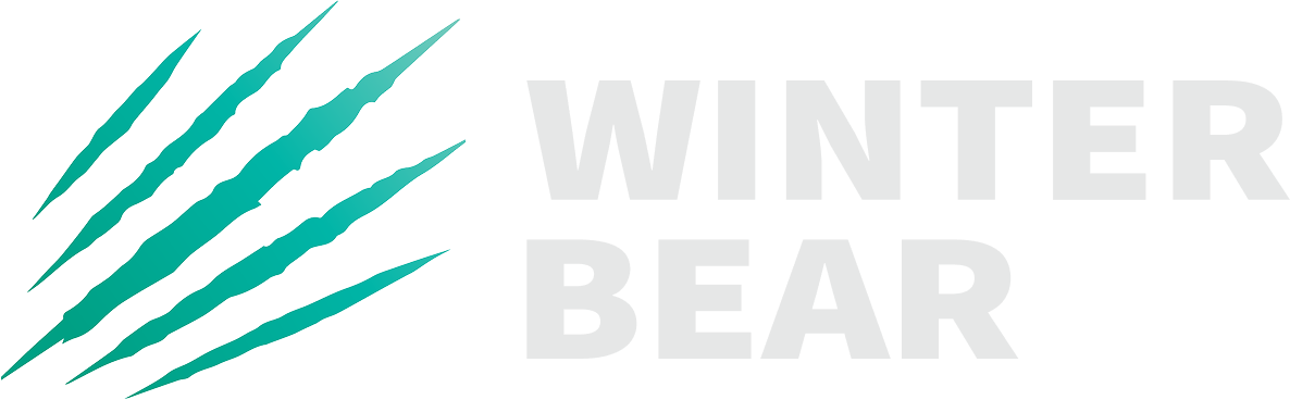 Winter Bear