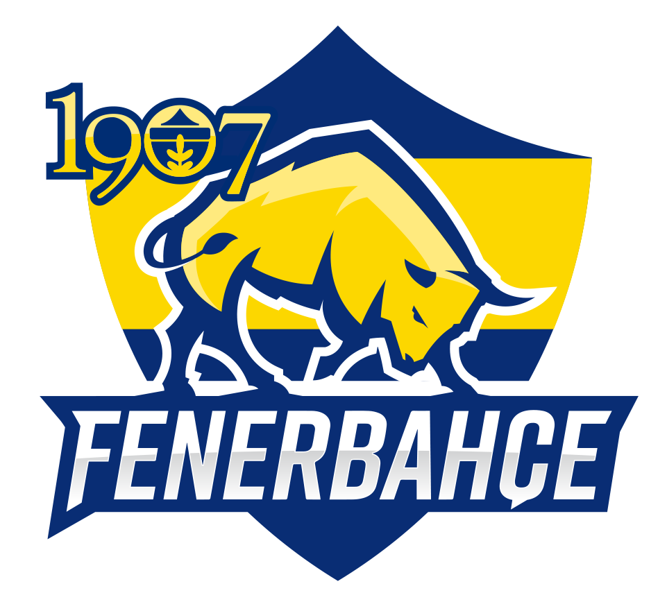 1907 Fenerbahçe Esports