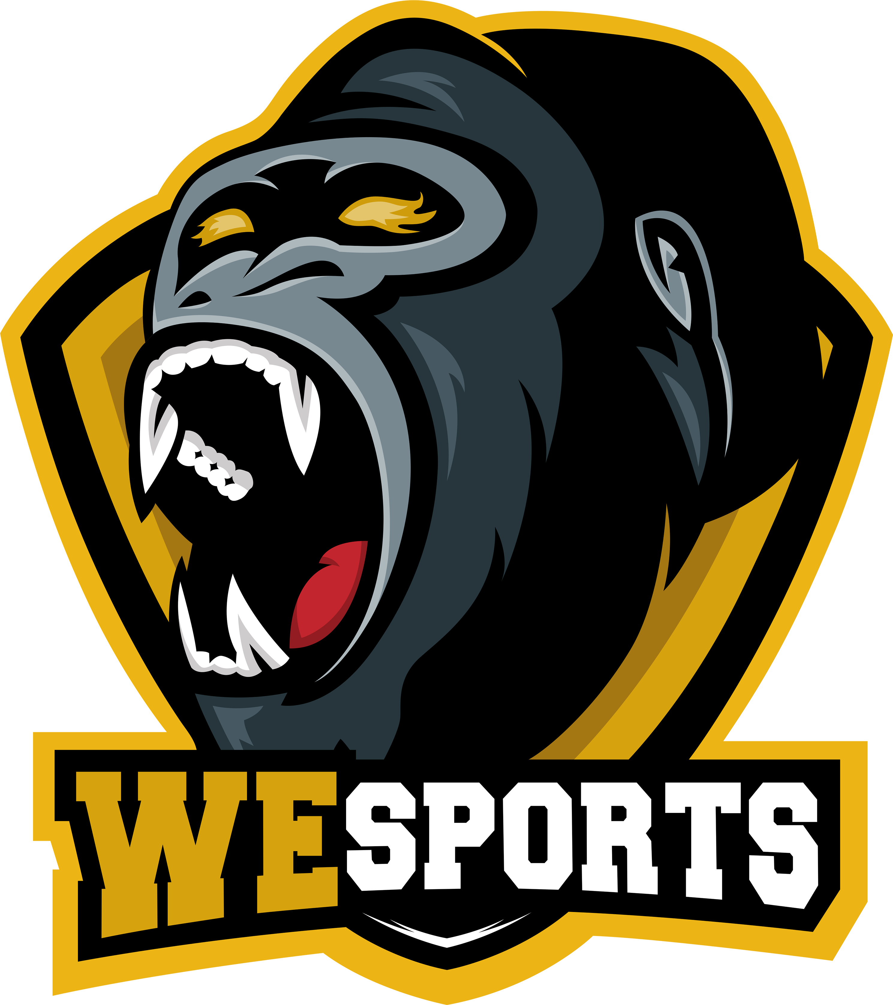WeSports
