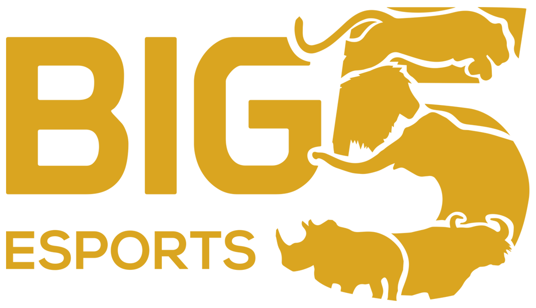 Big 5 Esports