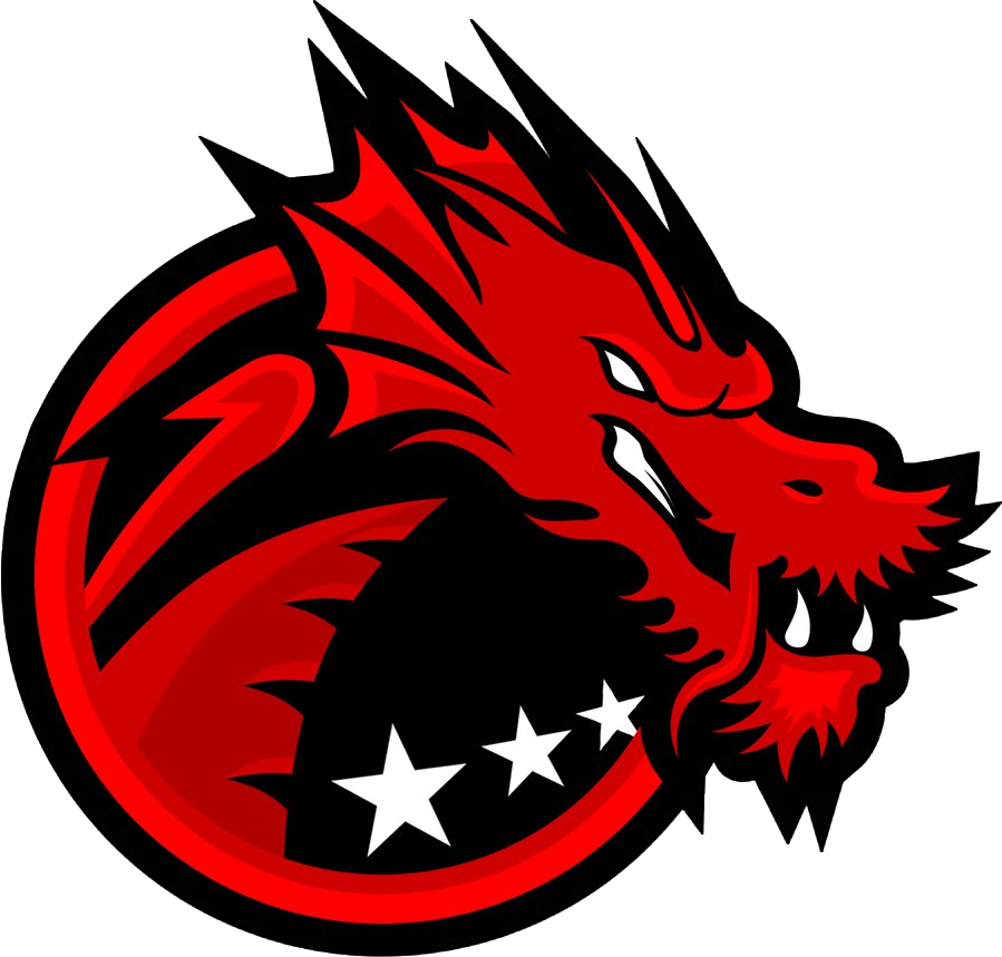 Binary Dragons