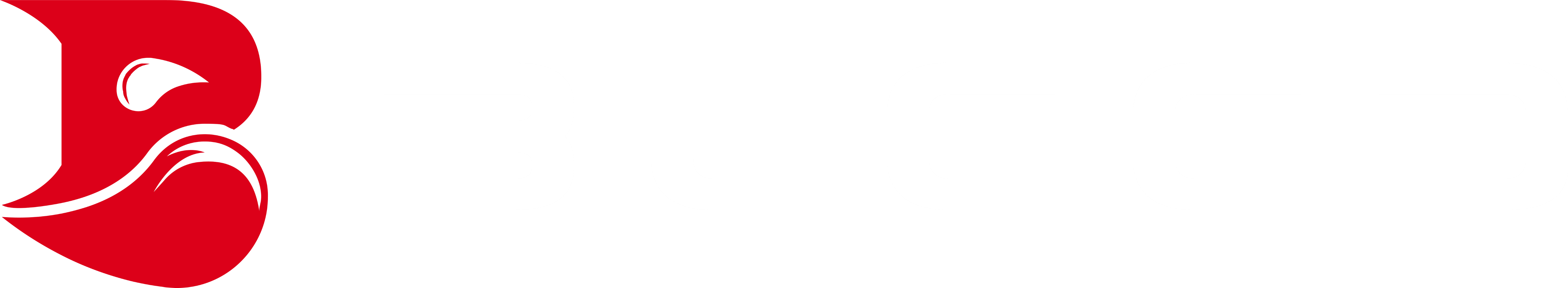 BLEED Esports