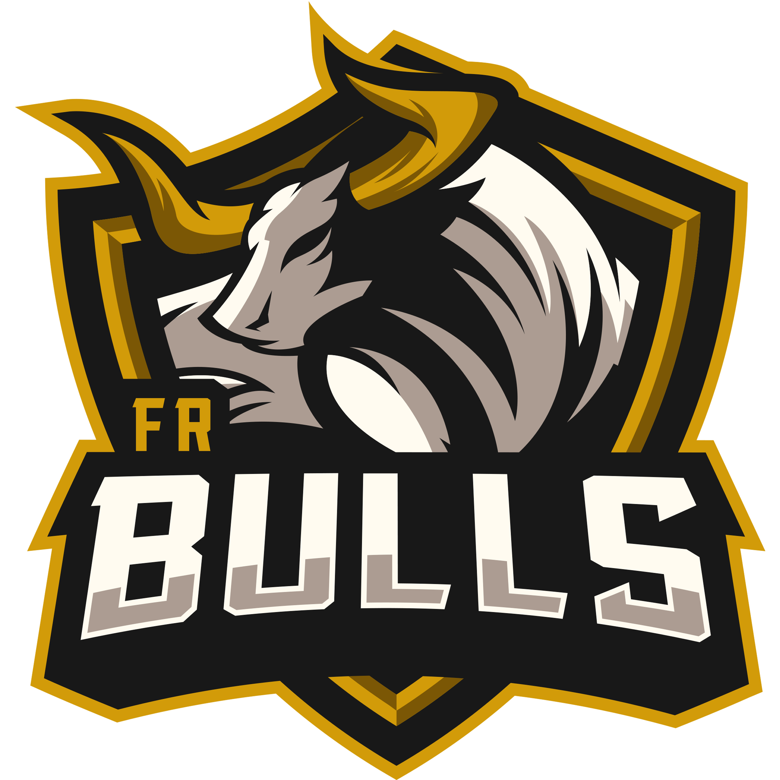 FR Bulls