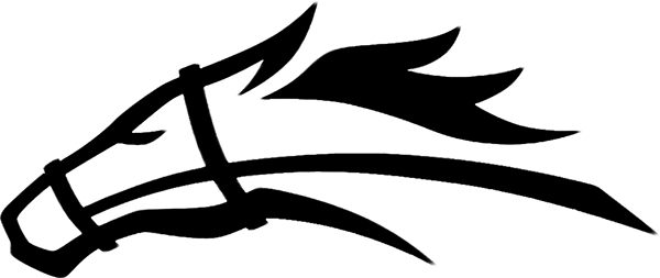 Stallions Black