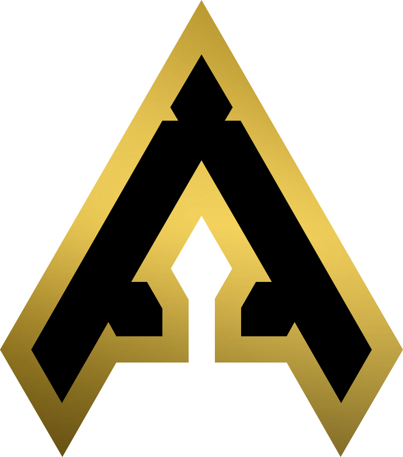 Team Anarchy