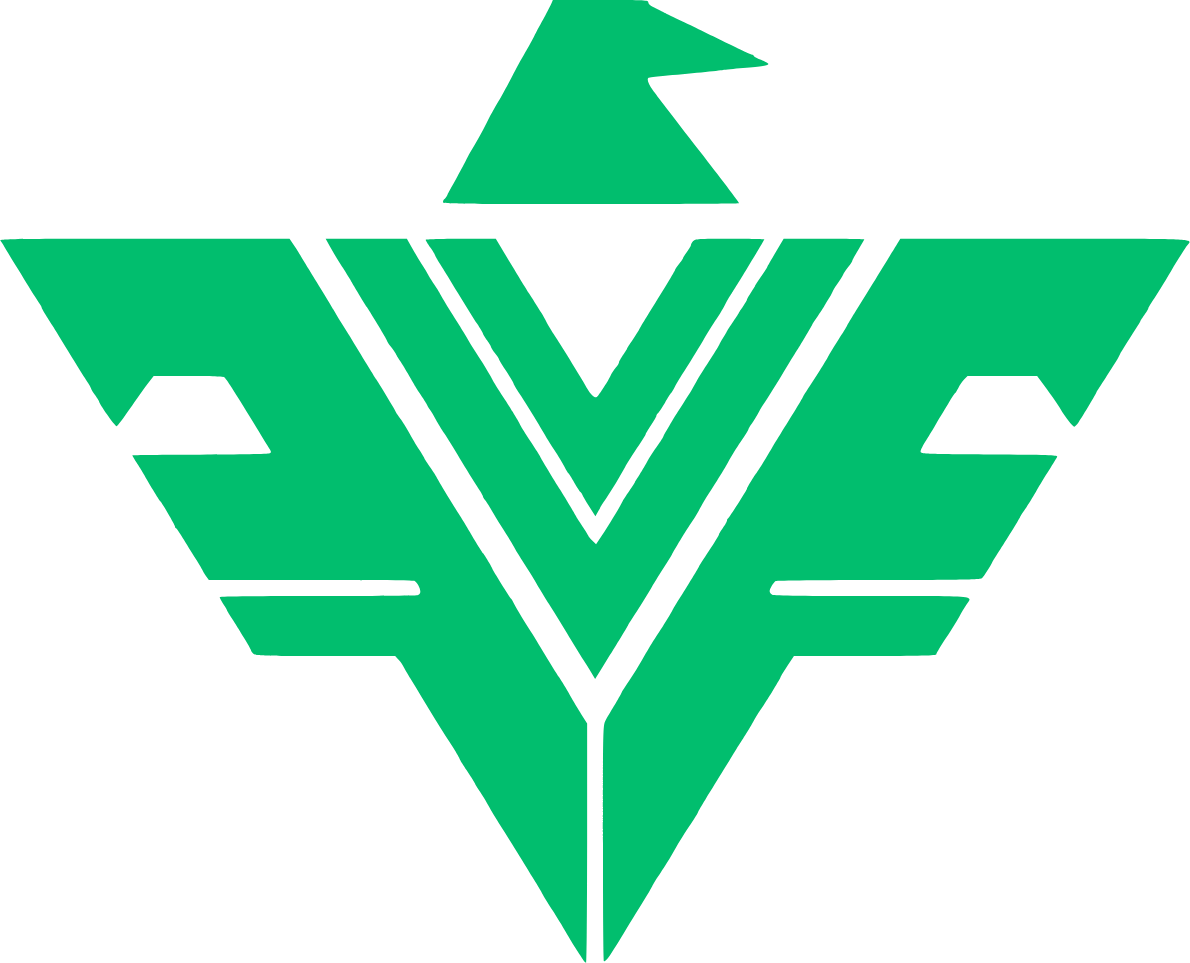 Vegas Falcons Academy