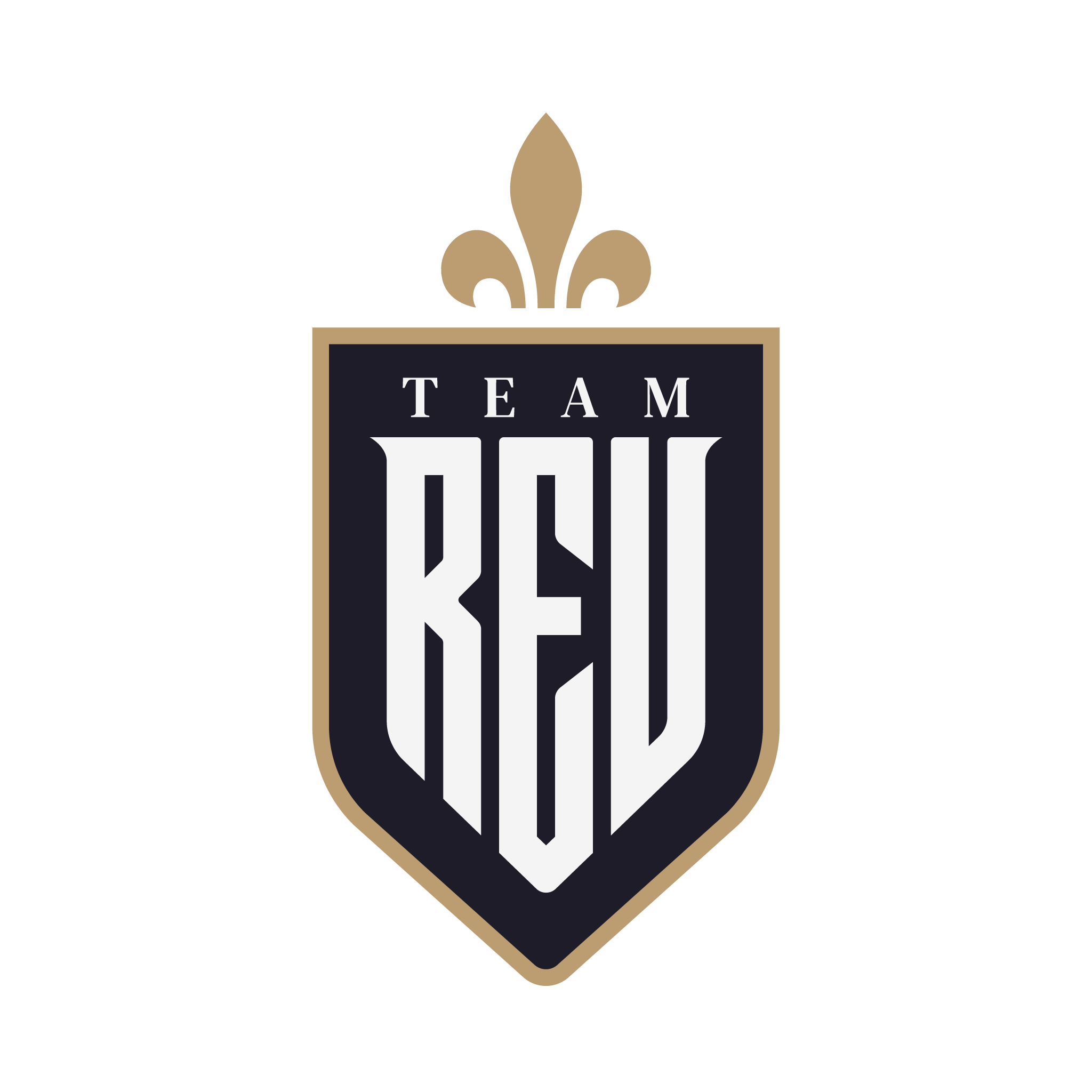 Team Revolin