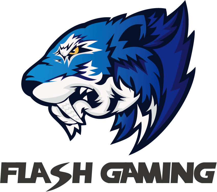 Flash Gaming