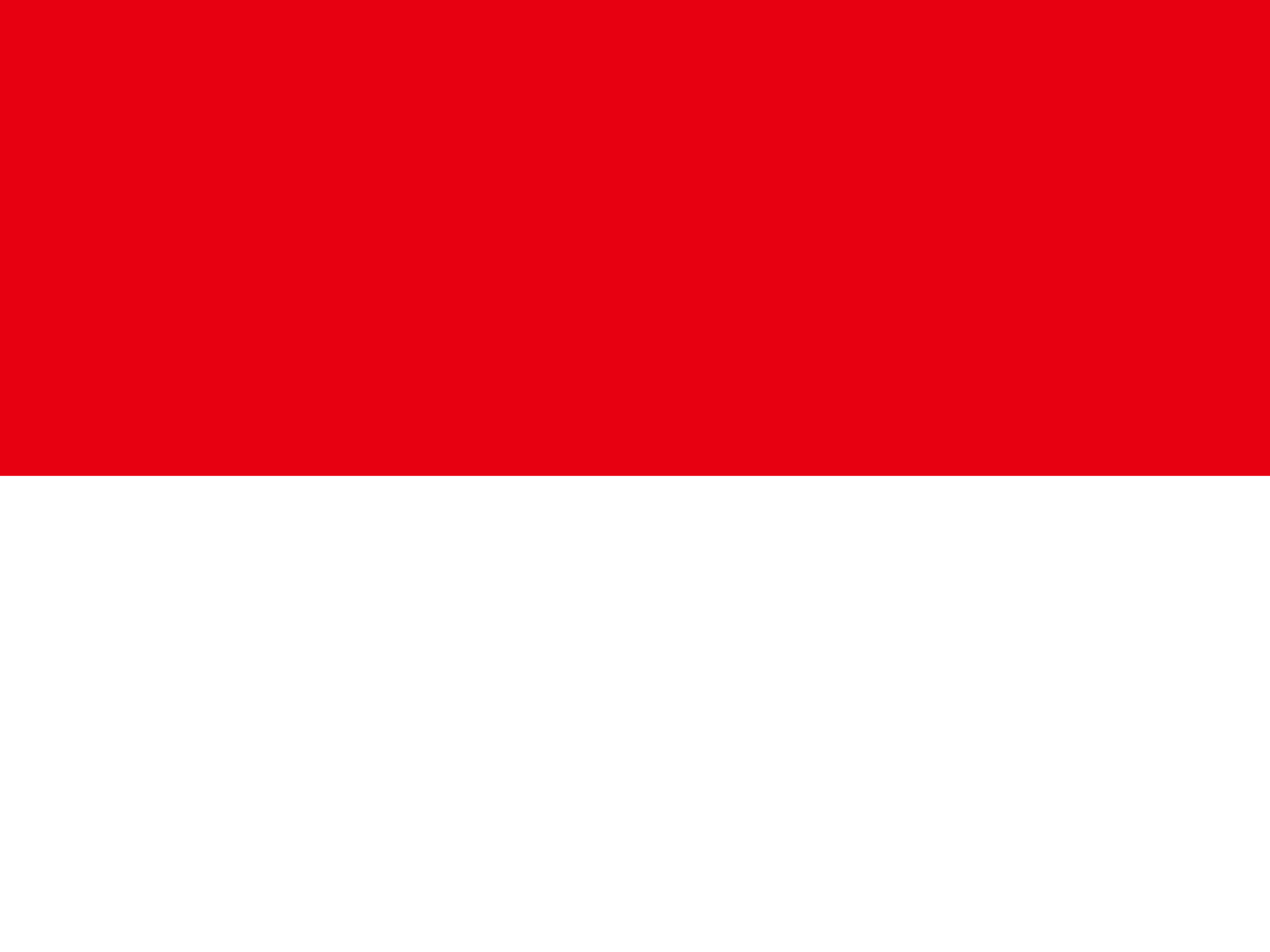 Team Indonesia