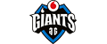 Vodafone Giants